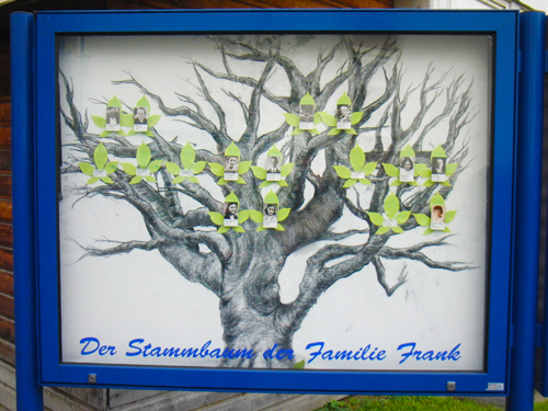 Frank family tree (Stammbaum) crafted on school infoboard.